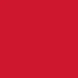 Columbia Kids Girls Red Suttle Mountain Long Insulated Jacket