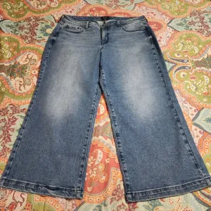NYDJ Teresa Wide Leg Ankle Jeans | Size 14w
