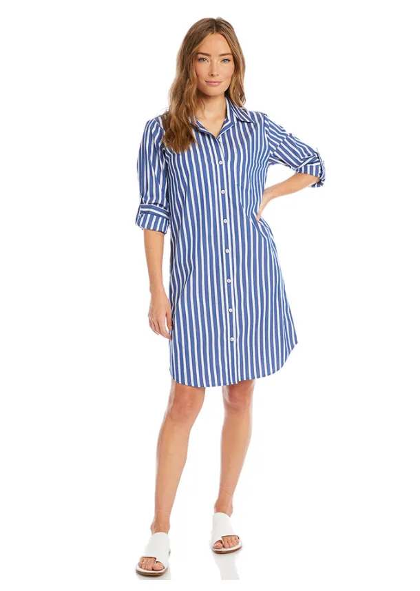 Stripe Shirtdress