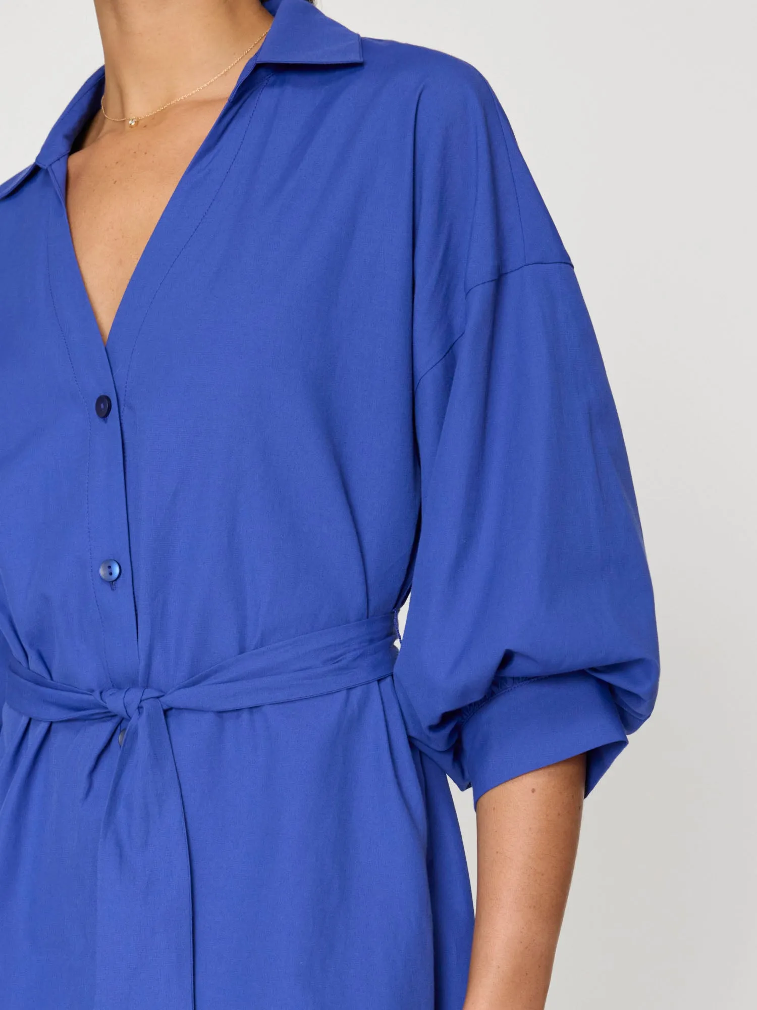 The Kate Belted Dress
